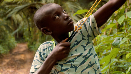 Kinderen van Mavungu | Mavungu de bosgod